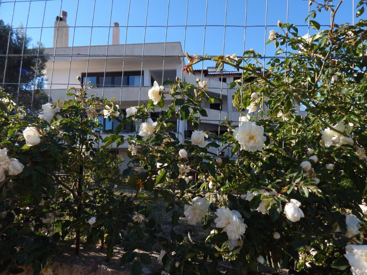 Apartamento Οδυσσεια, Κοντά Σε Αεροδρόμιο, Λιμάνια Και Θάλασσες Keratea Exterior foto