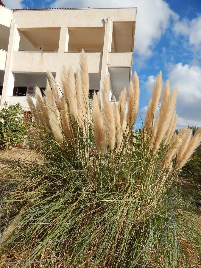 Apartamento Οδυσσεια, Κοντά Σε Αεροδρόμιο, Λιμάνια Και Θάλασσες Keratea Exterior foto