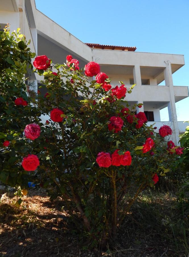 Apartamento Οδυσσεια, Κοντά Σε Αεροδρόμιο, Λιμάνια Και Θάλασσες Keratea Exterior foto