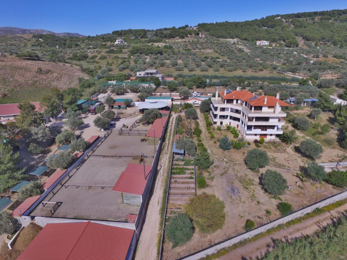 Apartamento Οδυσσεια, Κοντά Σε Αεροδρόμιο, Λιμάνια Και Θάλασσες Keratea Exterior foto