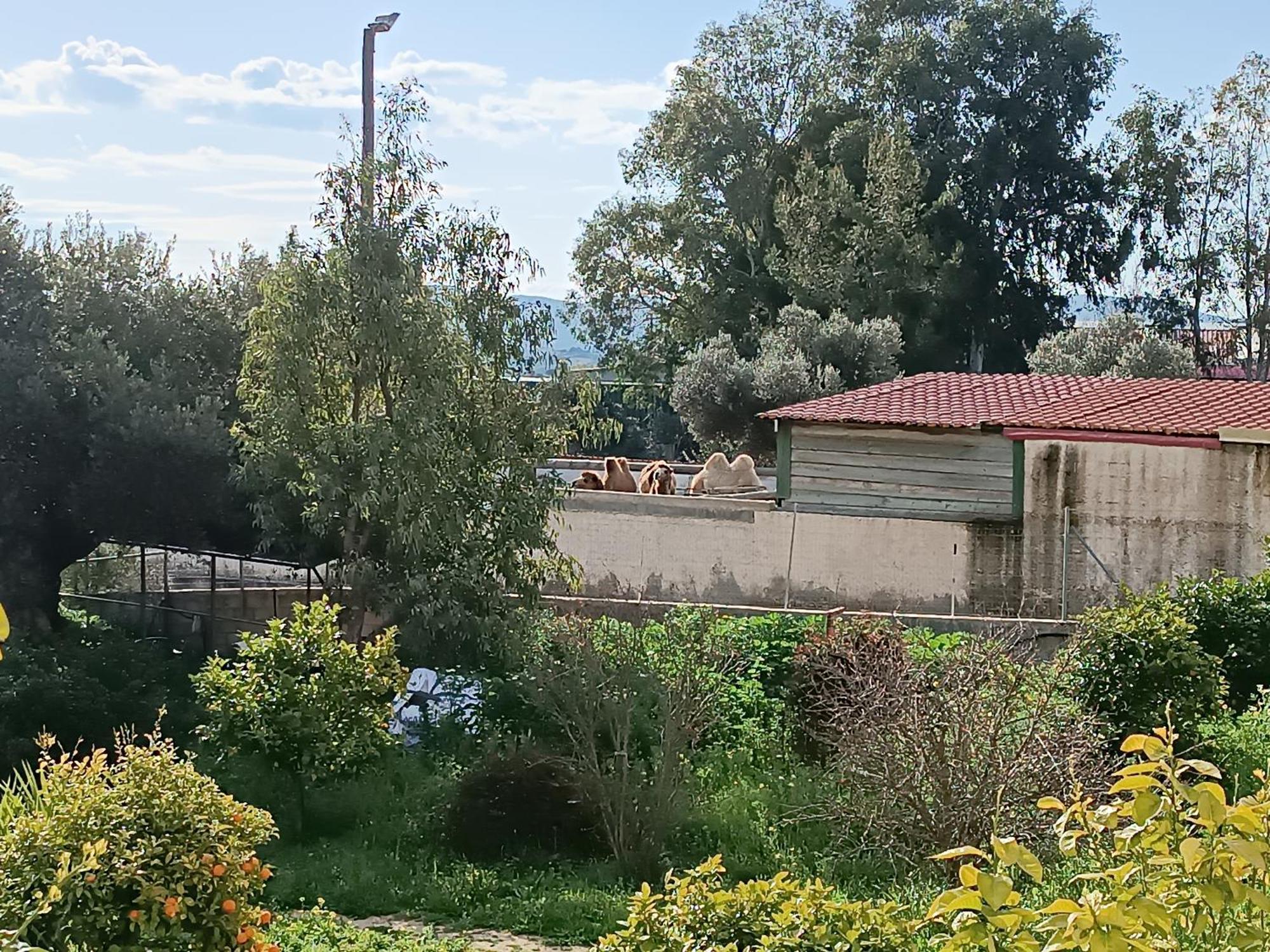 Apartamento Οδυσσεια, Κοντά Σε Αεροδρόμιο, Λιμάνια Και Θάλασσες Keratea Exterior foto